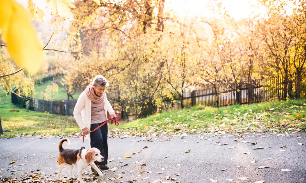 Benefits of nature on physical health​: Benefits of nature on physical health​