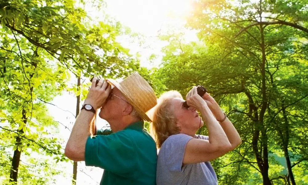 The importance of nature for people in care: Start a birdwatching group​