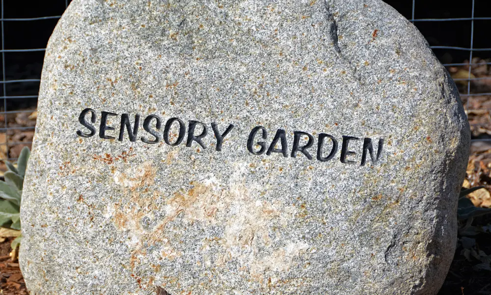 The importance of nature for people in care: sensory garden