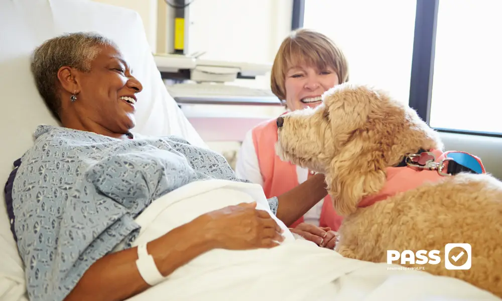 Pet therapy for care homes and community care