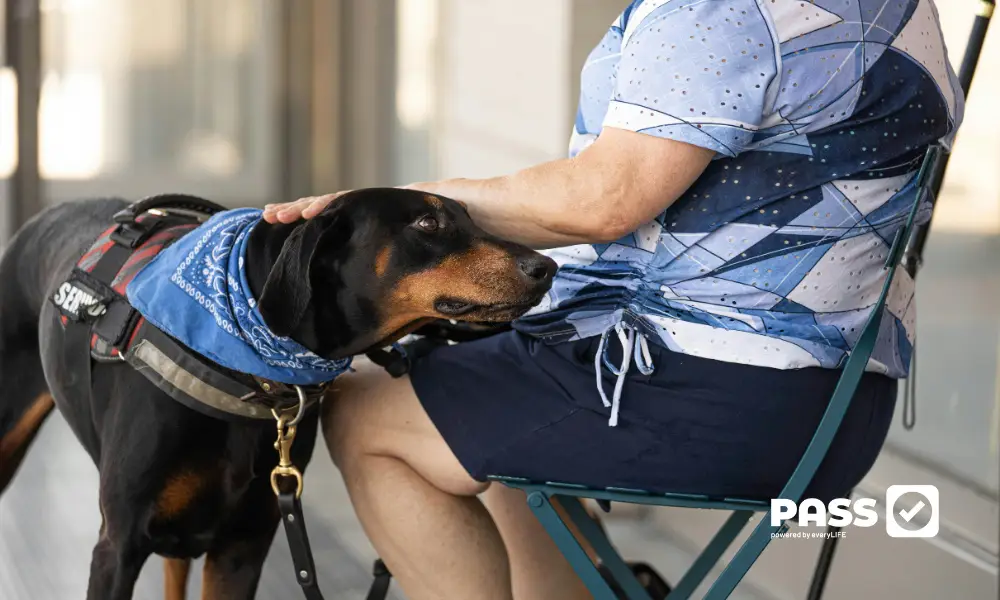 Pet therapy for care homes and community care