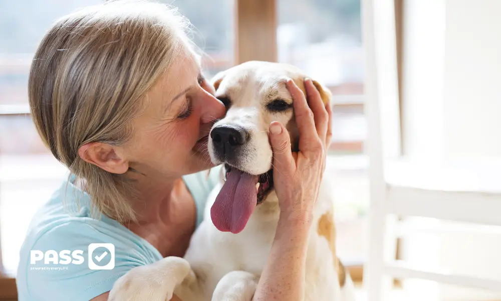 Pet therapy for care homes and community care